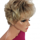 Krótka peruka z grzywką  blond ombre 14-88+8/Gisela Mayer/DR